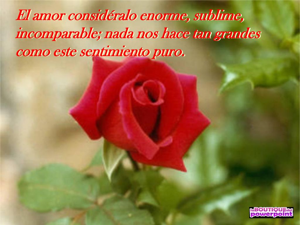 El amor considéralo enorme, sublime, incomparable; nada nos hace tan grandes como este sentimiento puro.