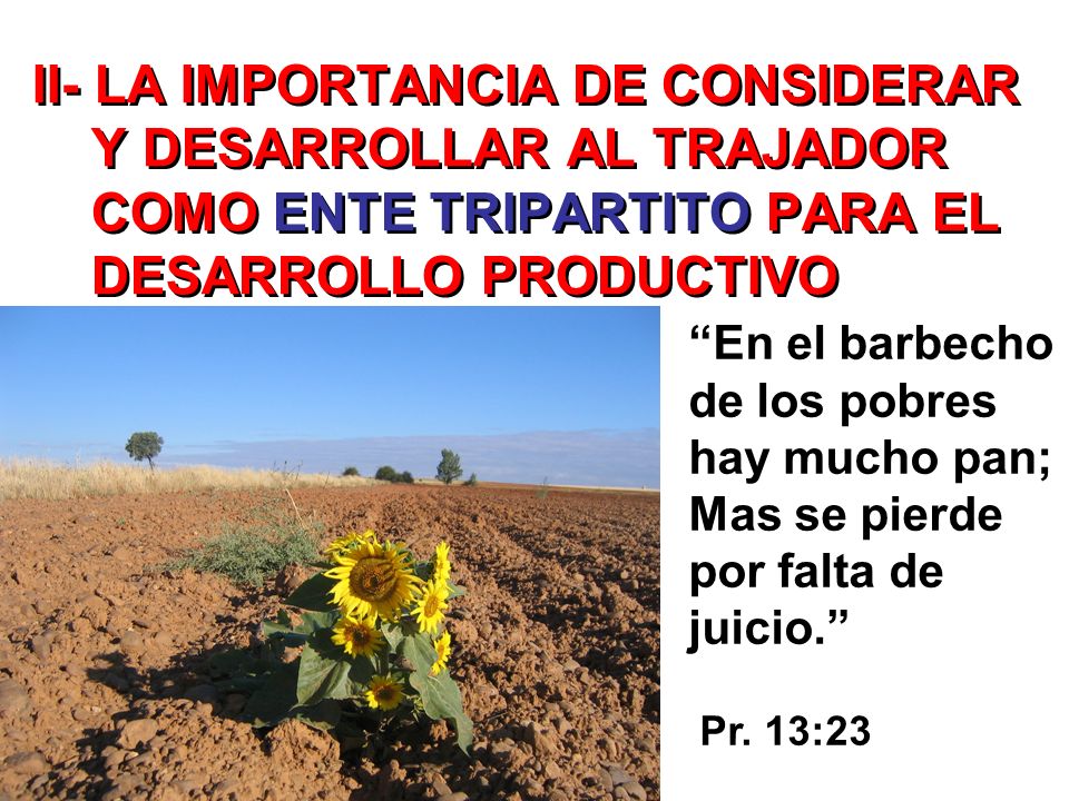 II- LA IMPORTANCIA DE CONSIDERAR Y DESARROLLAR AL TRAJADOR COMO ENTE TRIPARTITO PARA EL DESARROLLO PRODUCTIVO