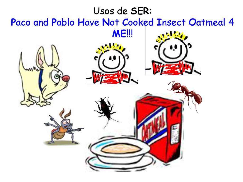 Paco and Pablo Have Not Cooked Insect Oatmeal 4 ME!!!