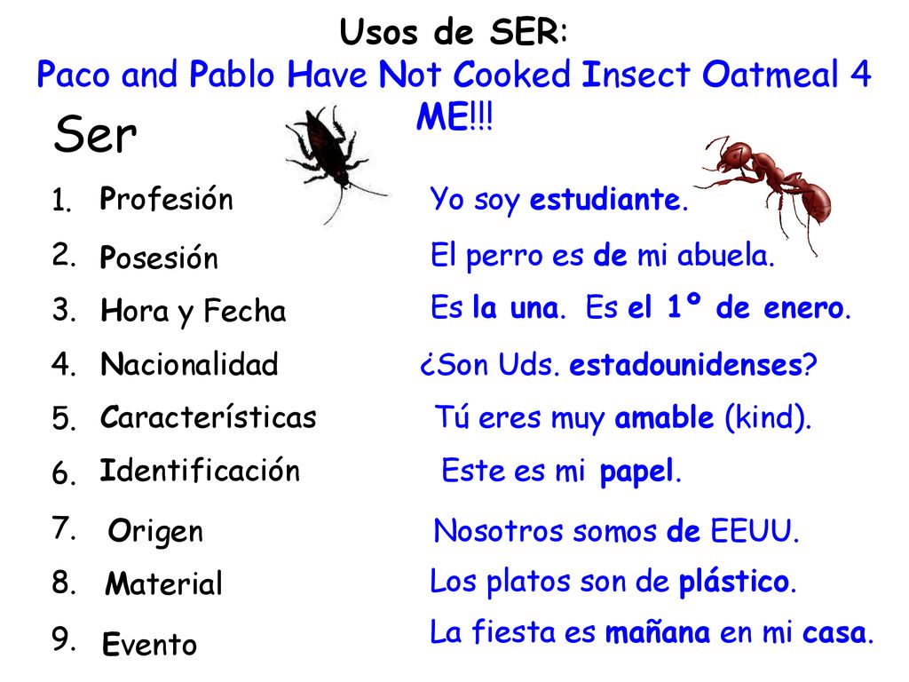 Paco and Pablo Have Not Cooked Insect Oatmeal 4 ME!!!