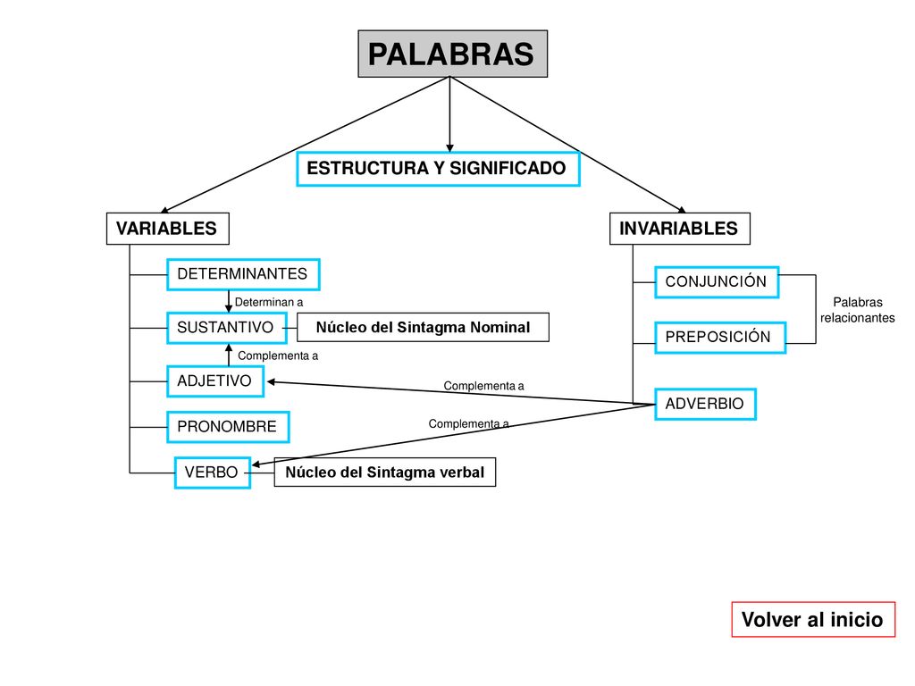 Núcleo del Sintagma Nominal Núcleo del Sintagma verbal