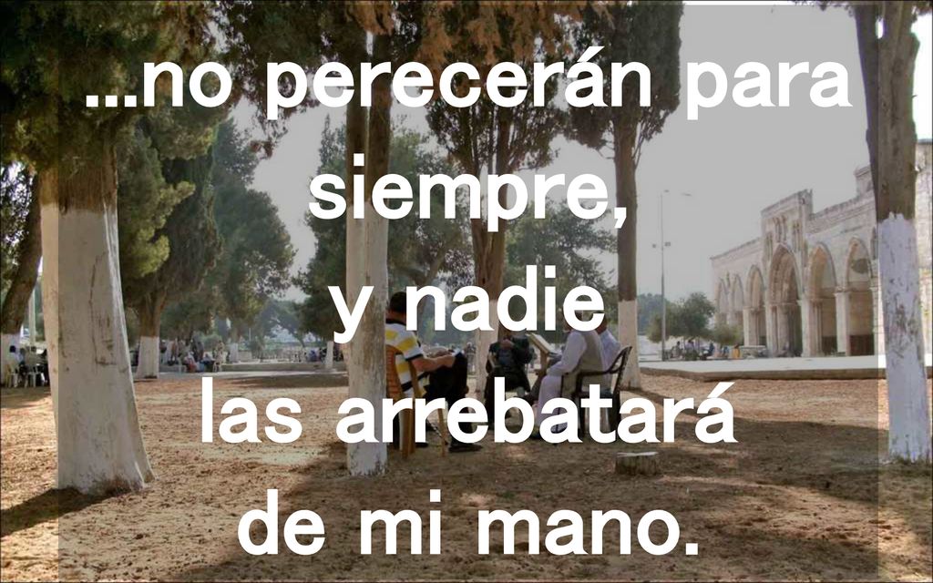 ...no perecerán para siempre, y nadie las arrebatará de mi mano.
