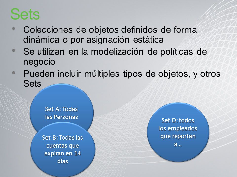 Sets Colecciones de objetos definidos de forma dinámica o por asignación estática. Se utilizan en la modelización de políticas de negocio.