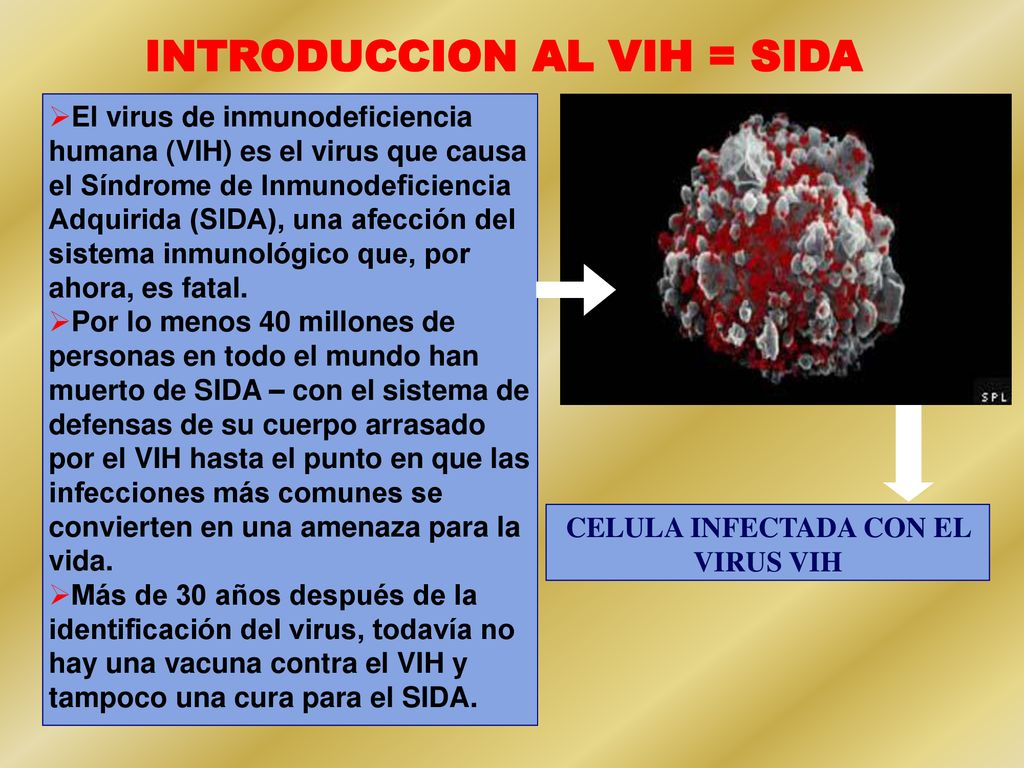 INTRODUCCION AL VIH = SIDA CELULA INFECTADA CON EL VIRUS VIH