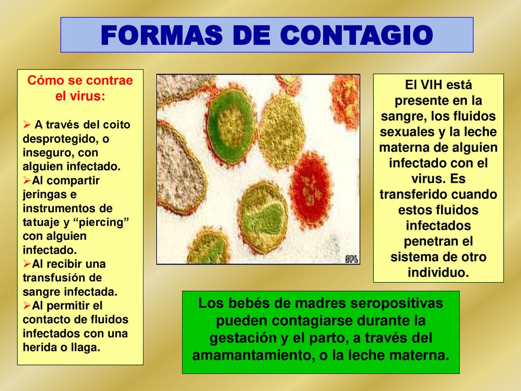 FORMAS DE CONTAGIO Cómo se contrae. el virus: A través del coito desprotegido, o inseguro, con alguien infectado.