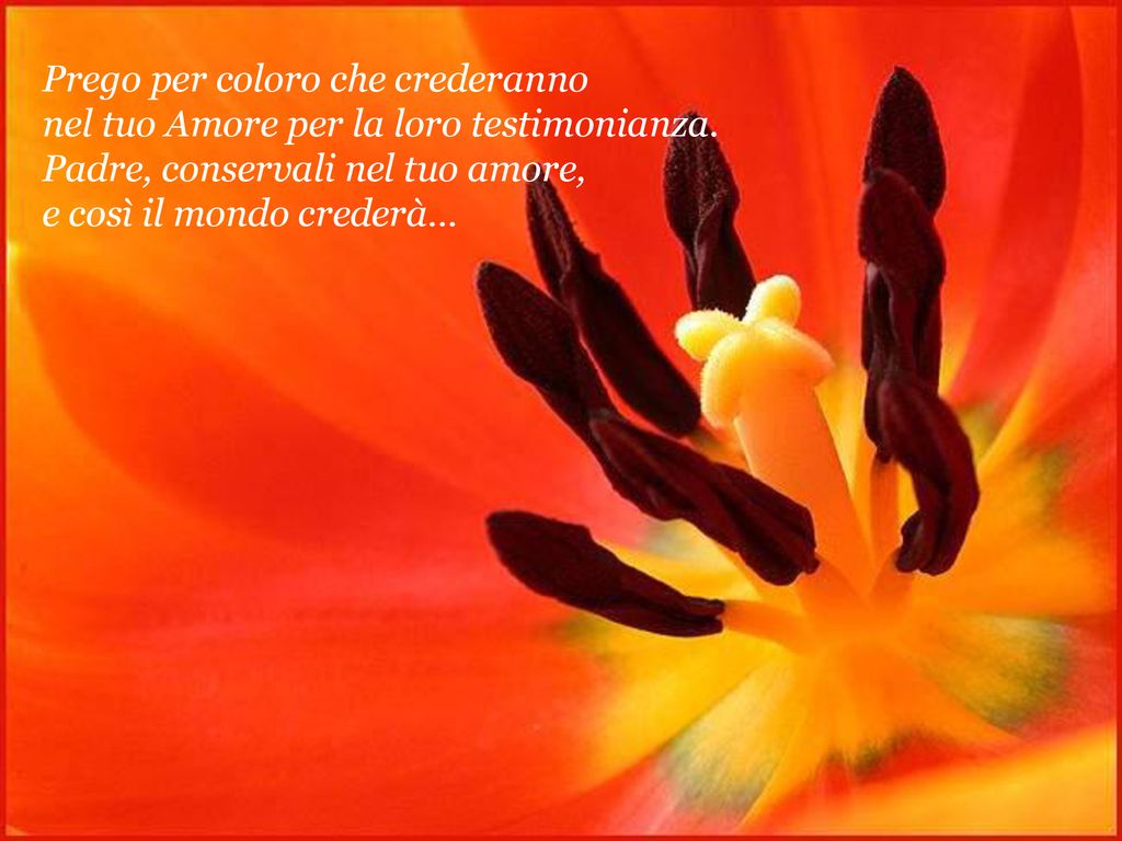 Prego per coloro che crederanno