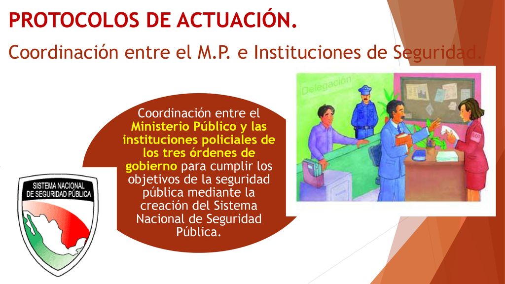PROTOCOLOS DE ACTUACIÓN. L Coordinación entre el M. P