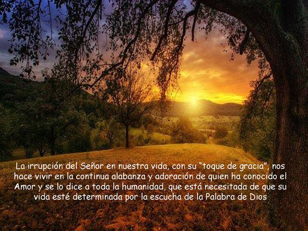 La irrupción del Señor en nuestra vida, con su toque de gracia , nos hace vivir en la continua alabanza y adoración de quien ha conocido el Amor y se lo dice a toda la humanidad, que está necesitada de que su vida esté determinada por la escucha de la Palabra de Dios