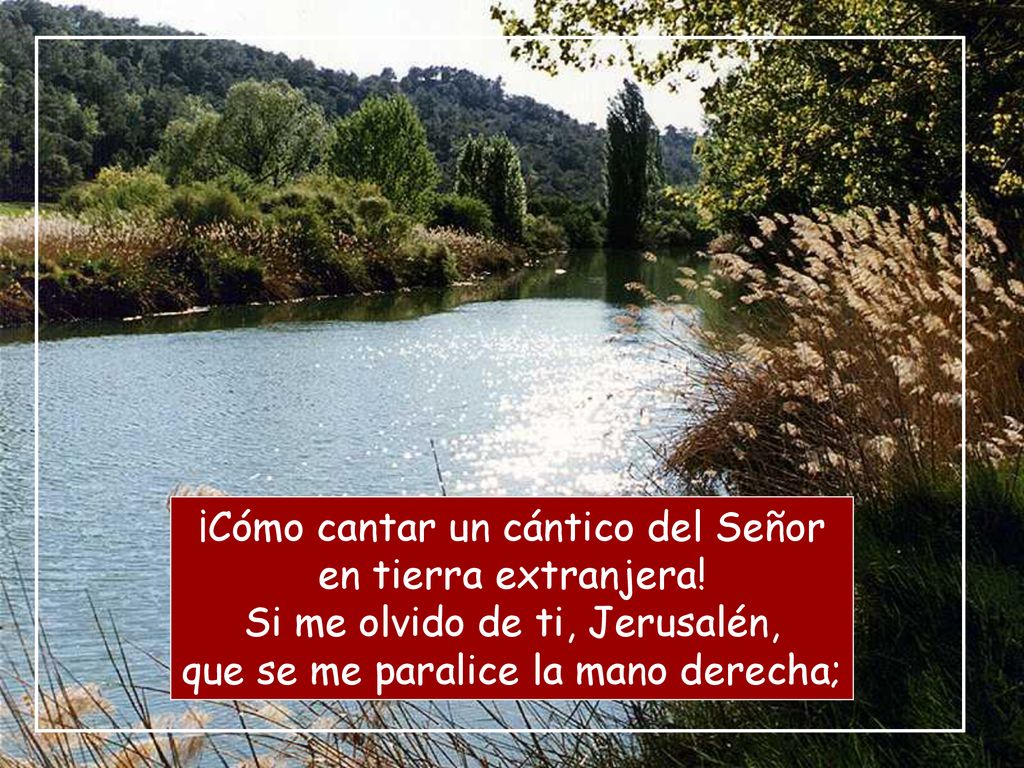 ¡Cómo cantar un cántico del Señor en tierra extranjera