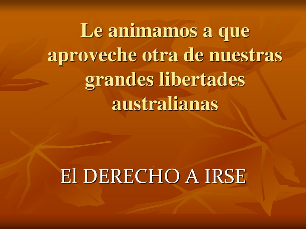 Le animamos a que aproveche otra de nuestras grandes libertades australianas