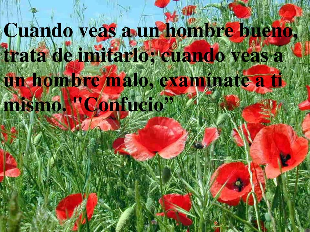 Cuando veas a un hombre bueno, trata de imitarlo; cuando veas a un hombre malo, examínate a ti mismo.