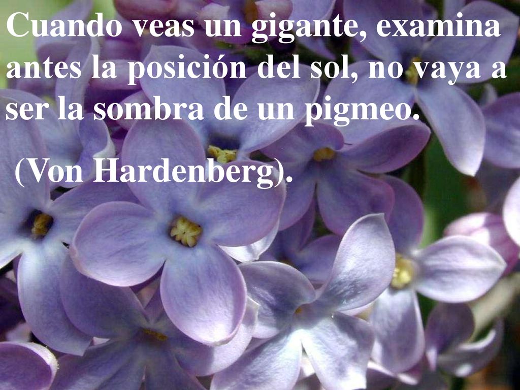Cuando veas un gigante, examina antes la posición del sol, no vaya a ser la sombra de un pigmeo.