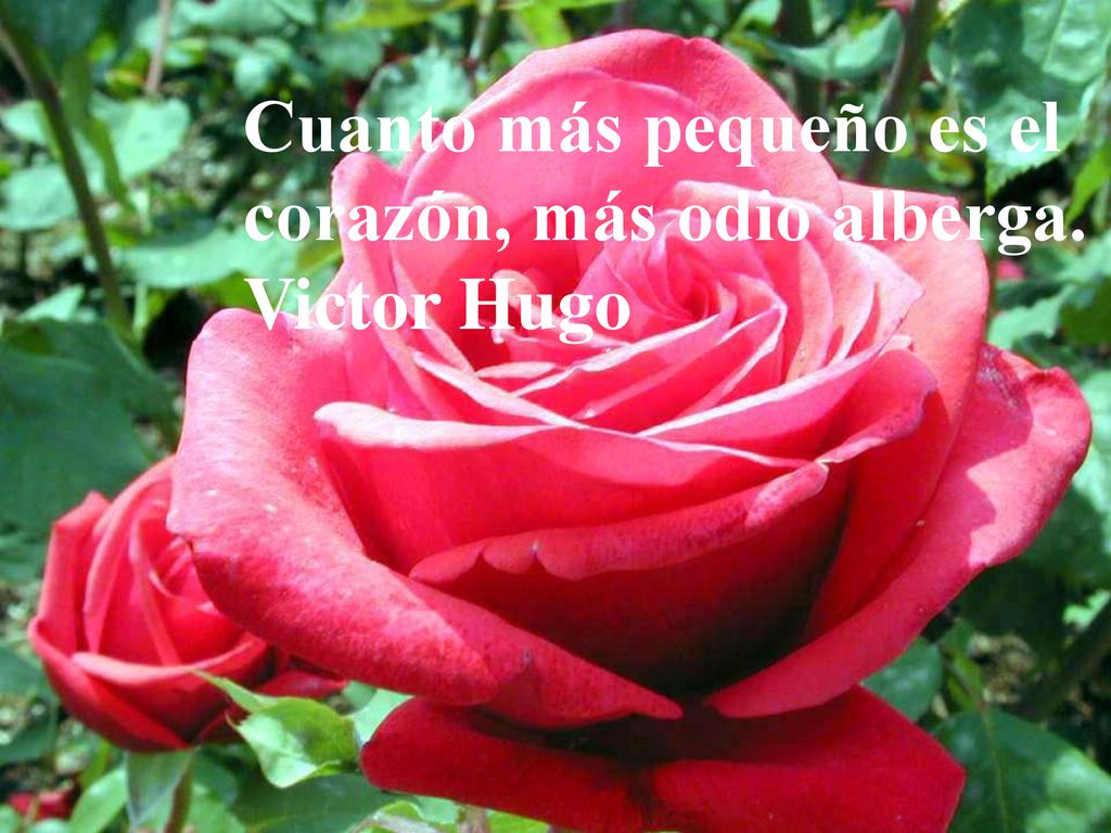 Cuanto más pequeño es el corazón, más odio alberga. Victor Hugo