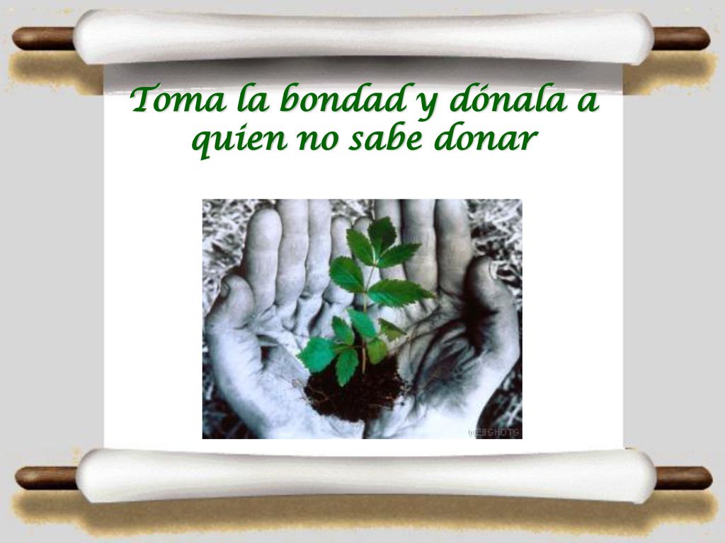Toma la bondad y dónala a quien no sabe donar