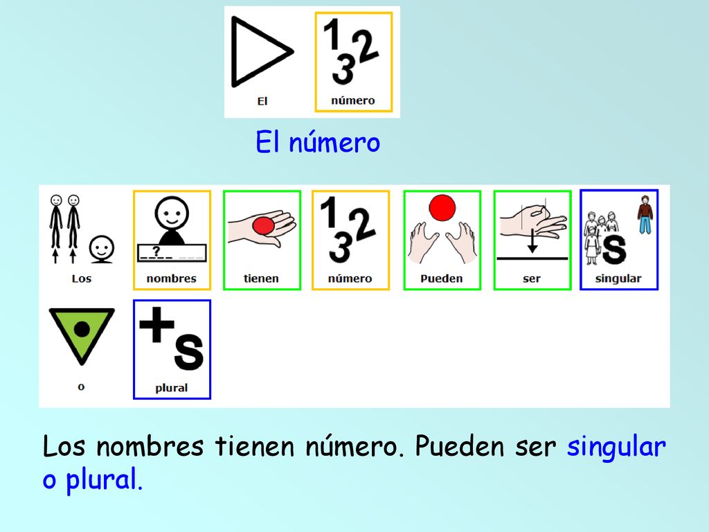 El número Los nombres tienen número. Pueden ser singular o plural.