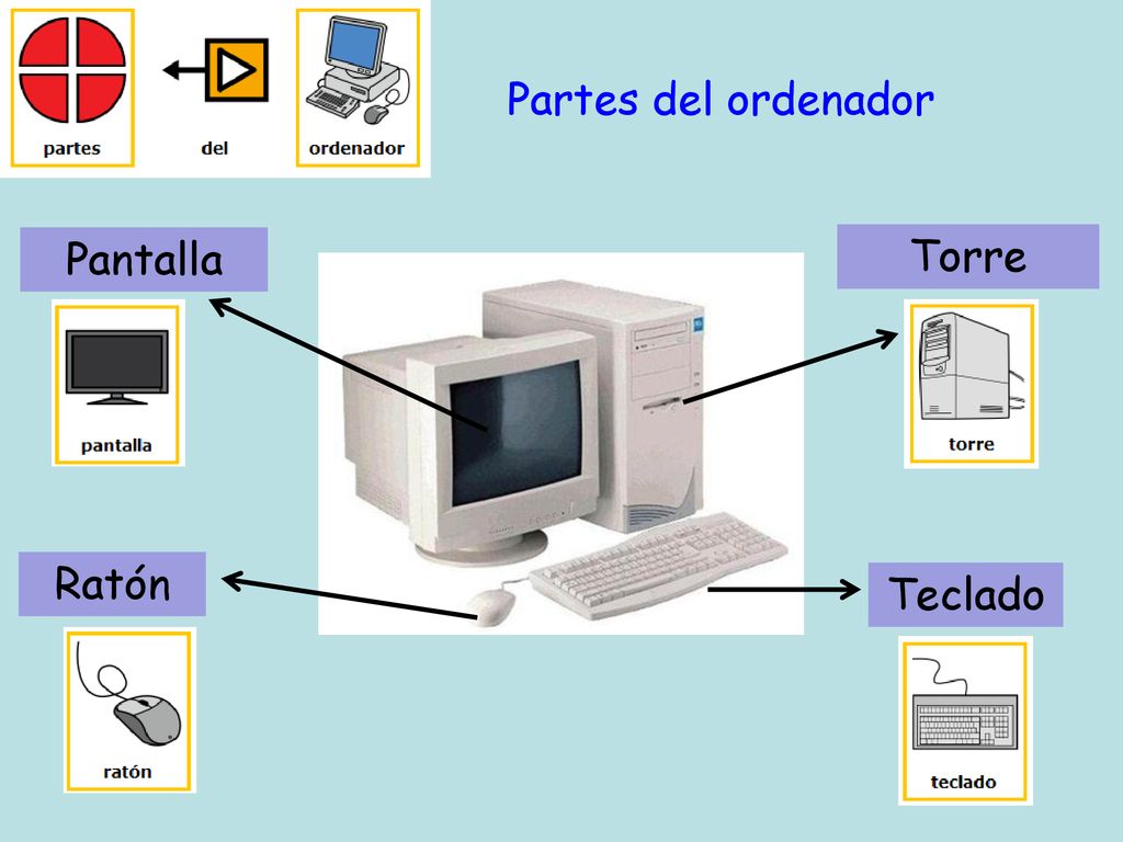 Partes del ordenador Pantalla Torre Ratón Teclado