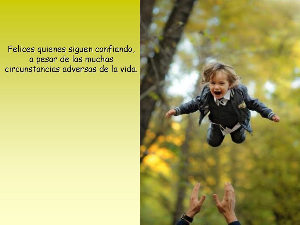 Felices quienes siguen confiando, a pesar de las muchas circunstancias adversas de la vida.