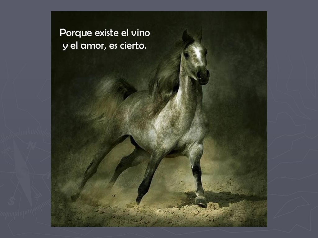 Porque existe el vino y el amor, es cierto.