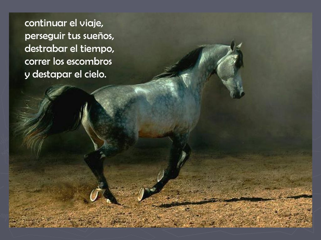 continuar el viaje, perseguir tus sueños, destrabar el tiempo, correr los escombros y destapar el cielo.