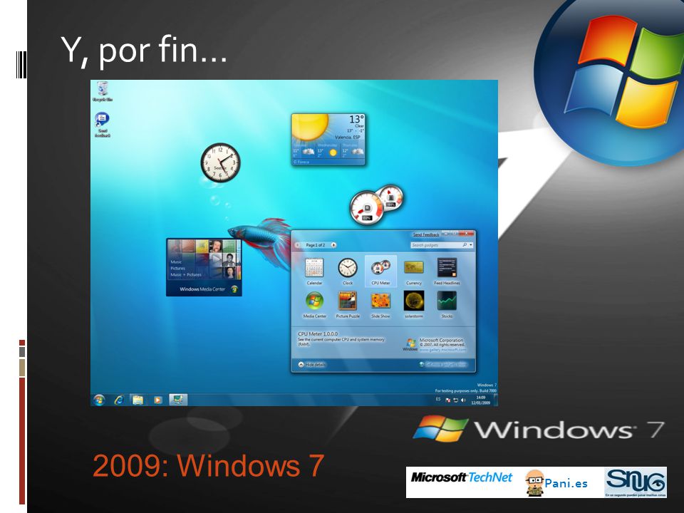 Y, por fin… 2009: Windows 7 Pani.es