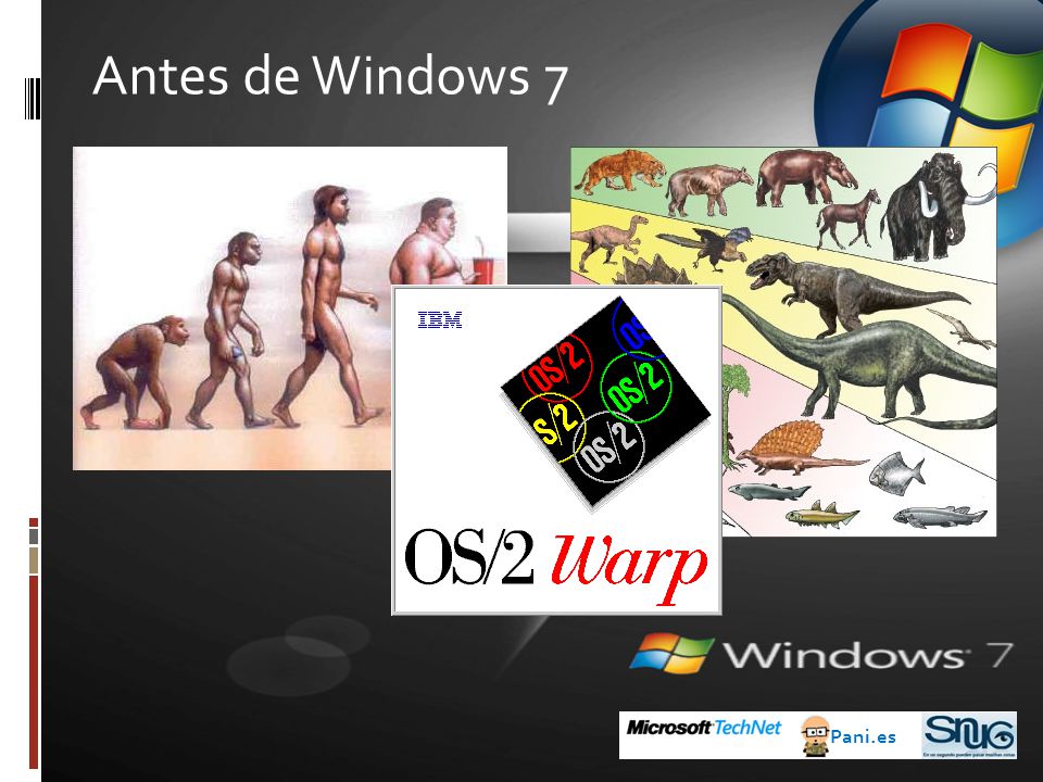 Antes de Windows 7 Pani.es