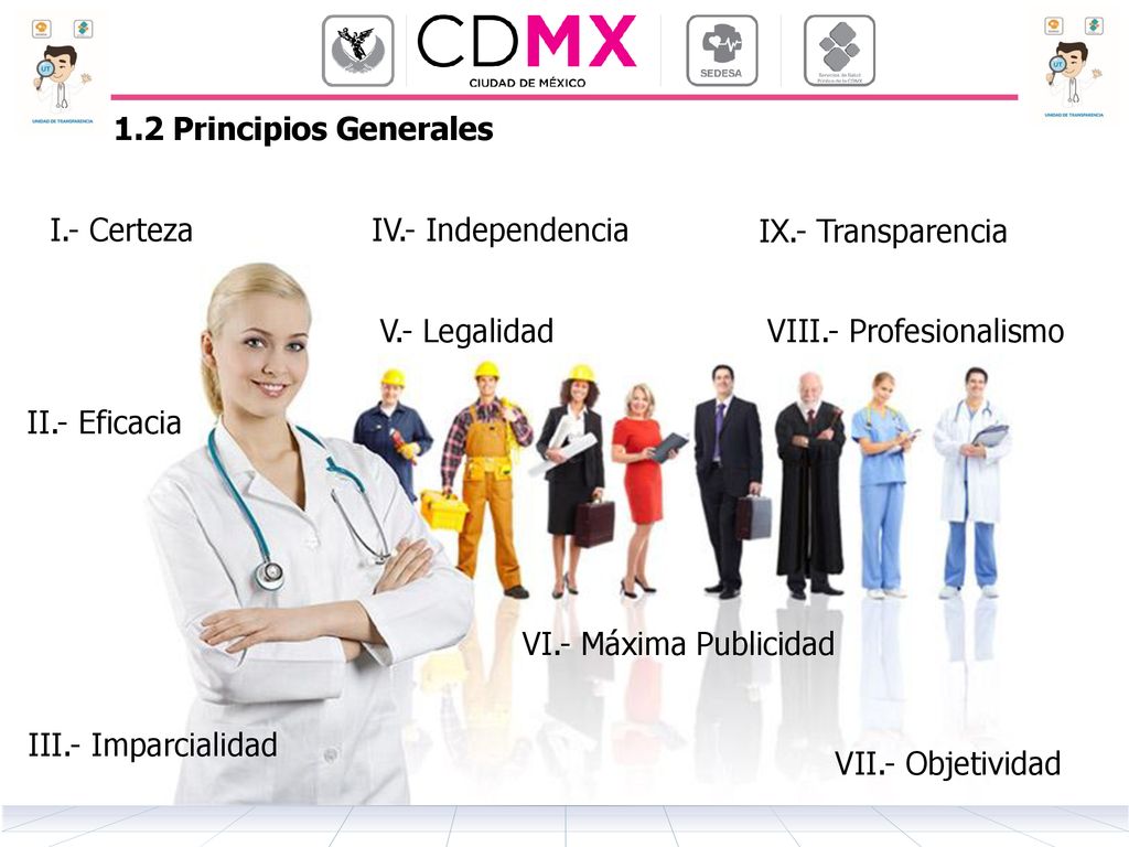 1.2 Principios Generales I.- Certeza. IV.- Independencia. IX.- Transparencia. V.- Legalidad. VIII.- Profesionalismo.