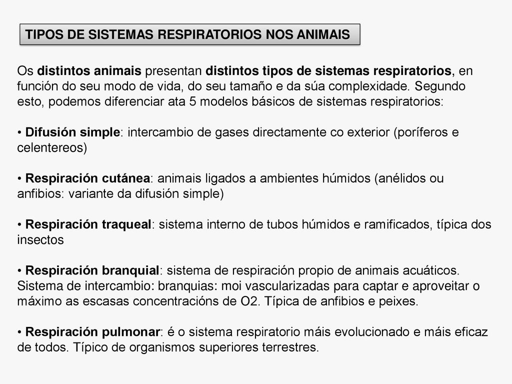 TIPOS DE SISTEMAS RESPIRATORIOS NOS ANIMAIS
