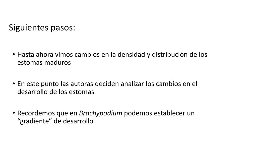 Siguientes pasos: Hasta ahora vimos cambios en la densidad y distribución de los estomas maduros.