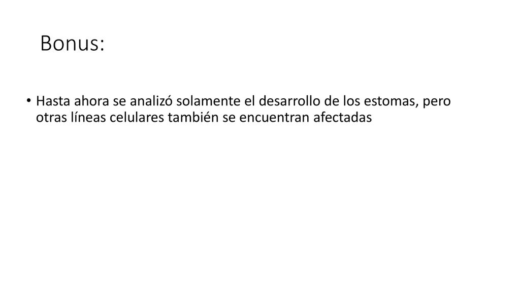 Bonus: Hasta ahora se analizó solamente el desarrollo de los estomas, pero otras líneas celulares también se encuentran afectadas.