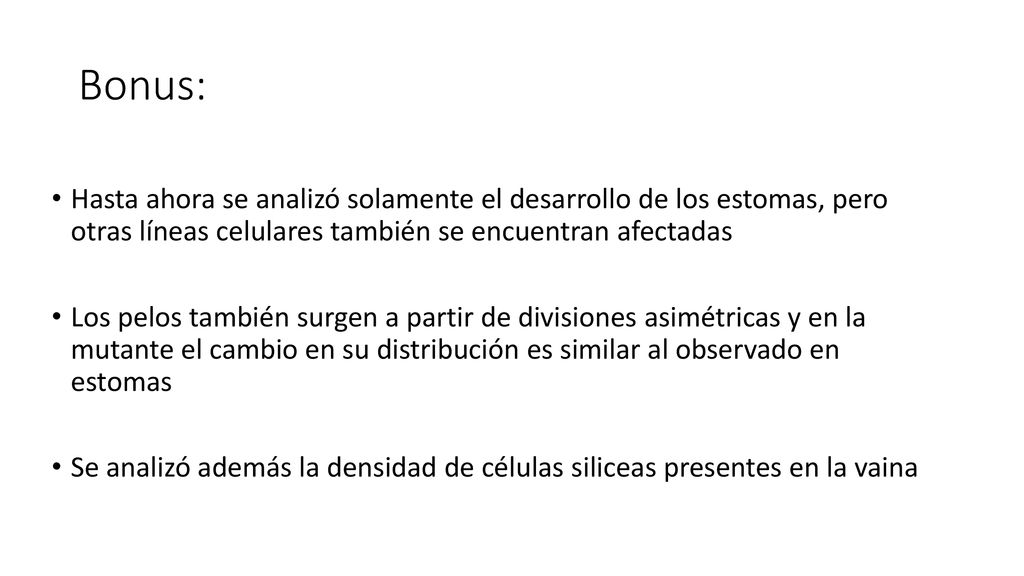 Bonus: Hasta ahora se analizó solamente el desarrollo de los estomas, pero otras líneas celulares también se encuentran afectadas.