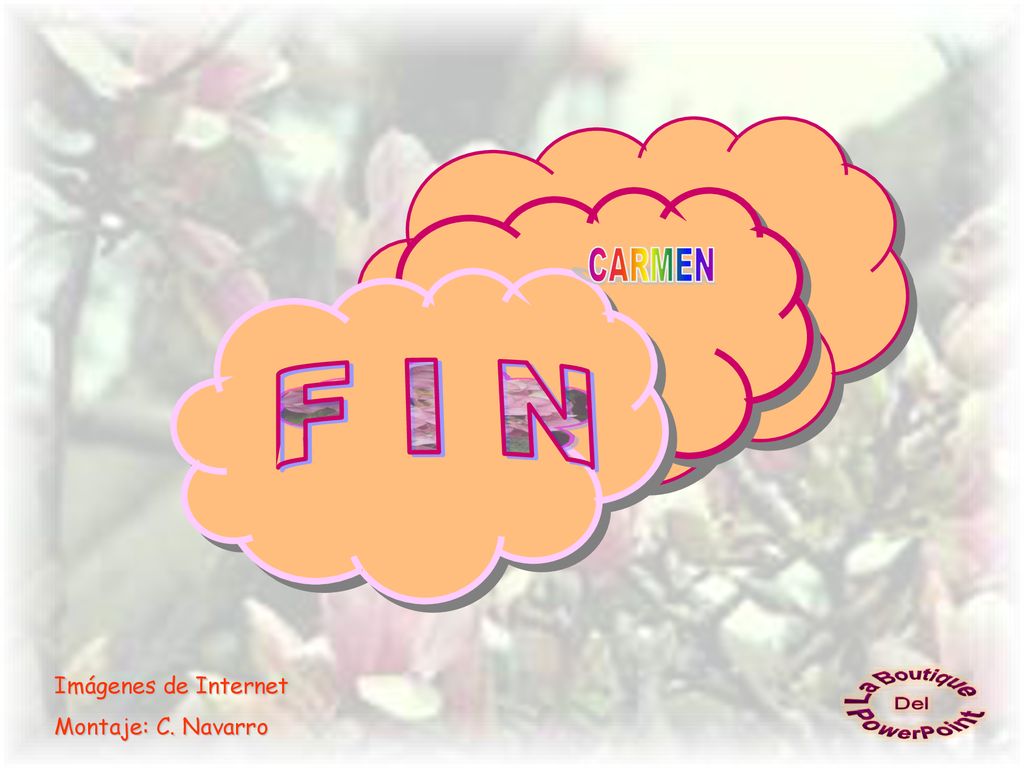 CARMEN F I N Imágenes de Internet Montaje: C. Navarro