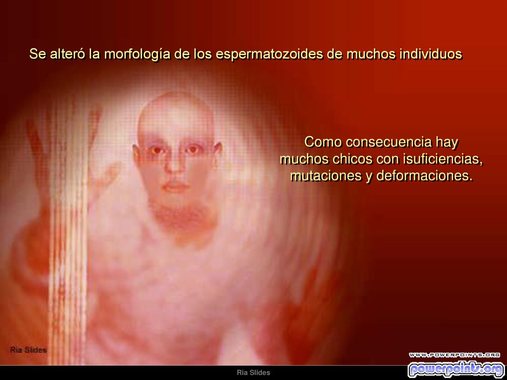 Se alteró la morfología de los espermatozoides de muchos individuos