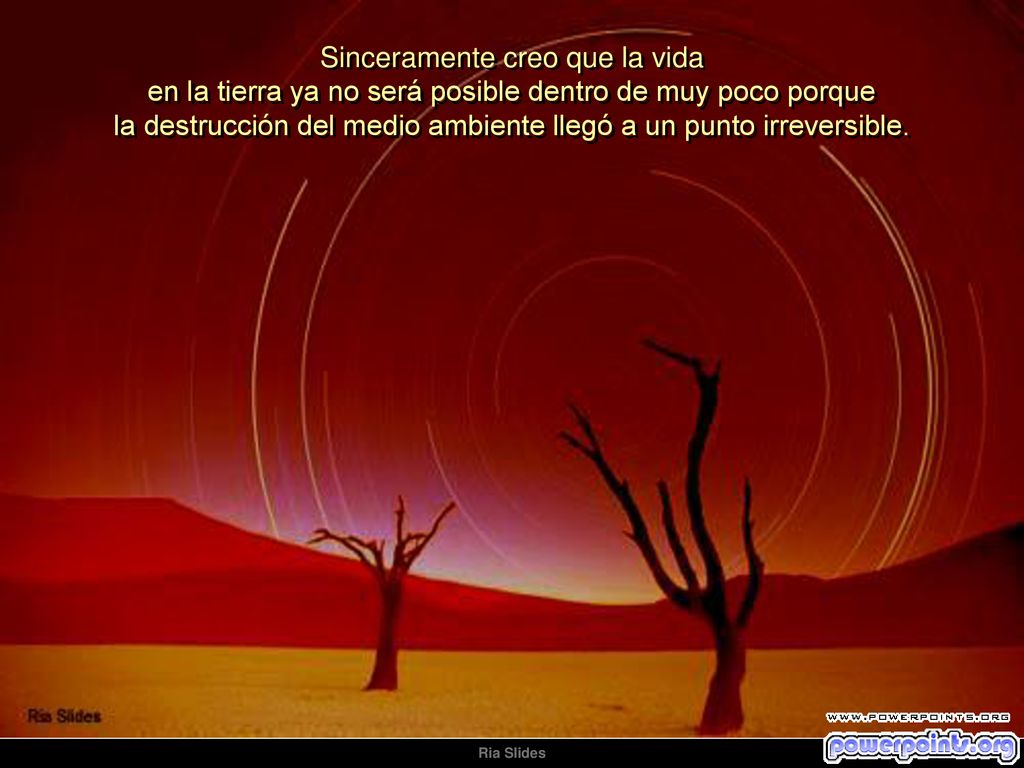 Sinceramente creo que la vida en la tierra ya no será posible dentro de muy poco porque la destrucción del medio ambiente llegó a un punto irreversible.