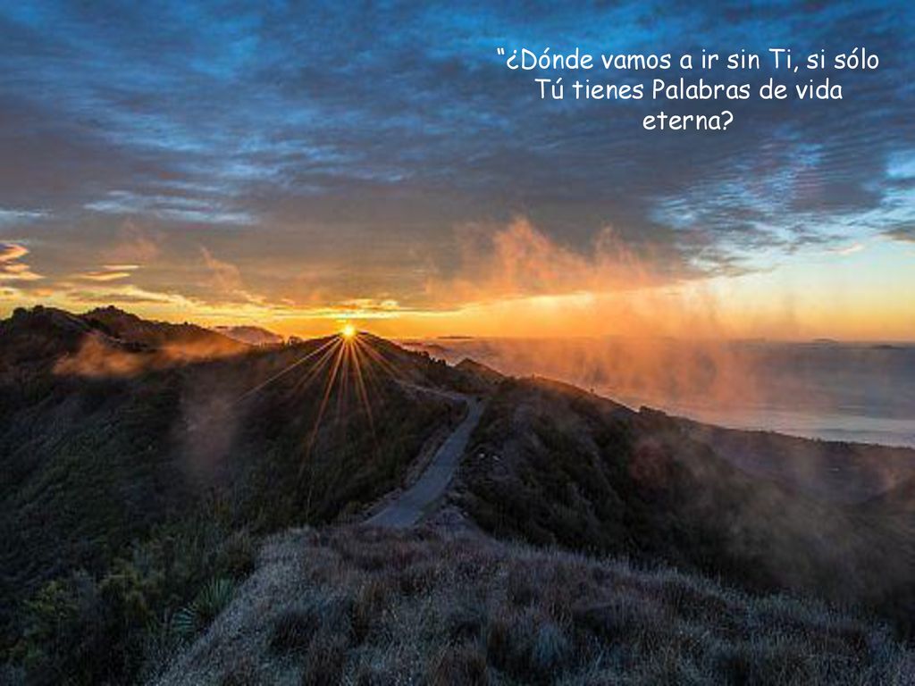 ¿Dónde vamos a ir sin Ti, si sólo Tú tienes Palabras de vida eterna