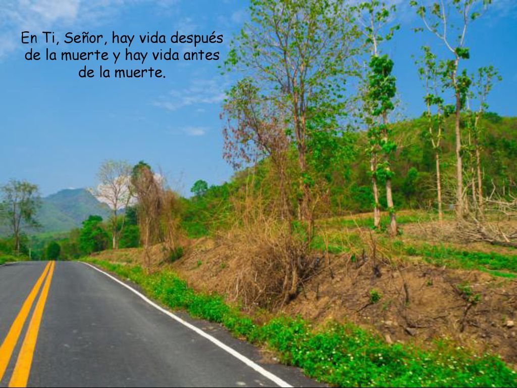 En Ti, Señor, hay vida después de la muerte y hay vida antes de la muerte.