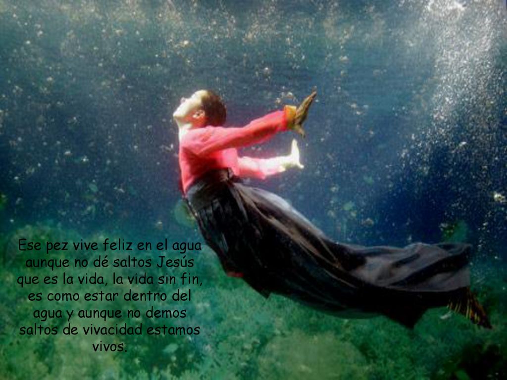 Ese pez vive feliz en el agua aunque no dé saltos Jesús que es la vida, la vida sin fin, es como estar dentro del agua y aunque no demos saltos de vivacidad estamos vivos.