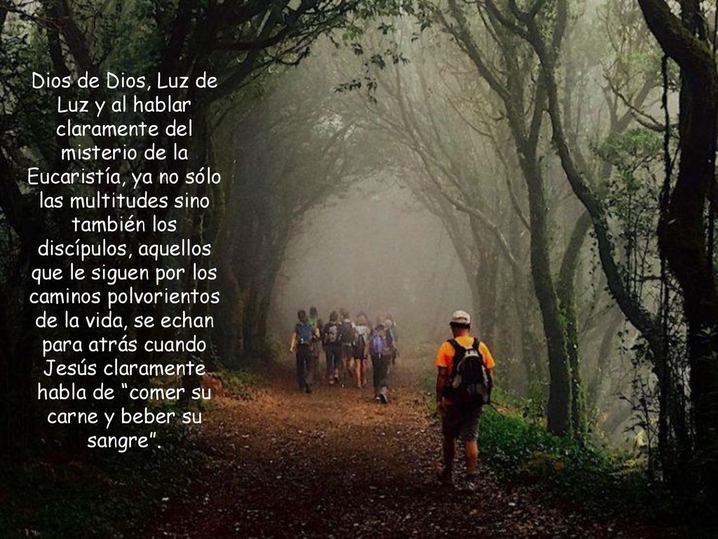 Dios de Dios, Luz de Luz y al hablar claramente del misterio de la Eucaristía, ya no sólo las multitudes sino también los discípulos, aquellos que le siguen por los caminos polvorientos de la vida, se echan para atrás cuando Jesús claramente habla de comer su carne y beber su sangre .