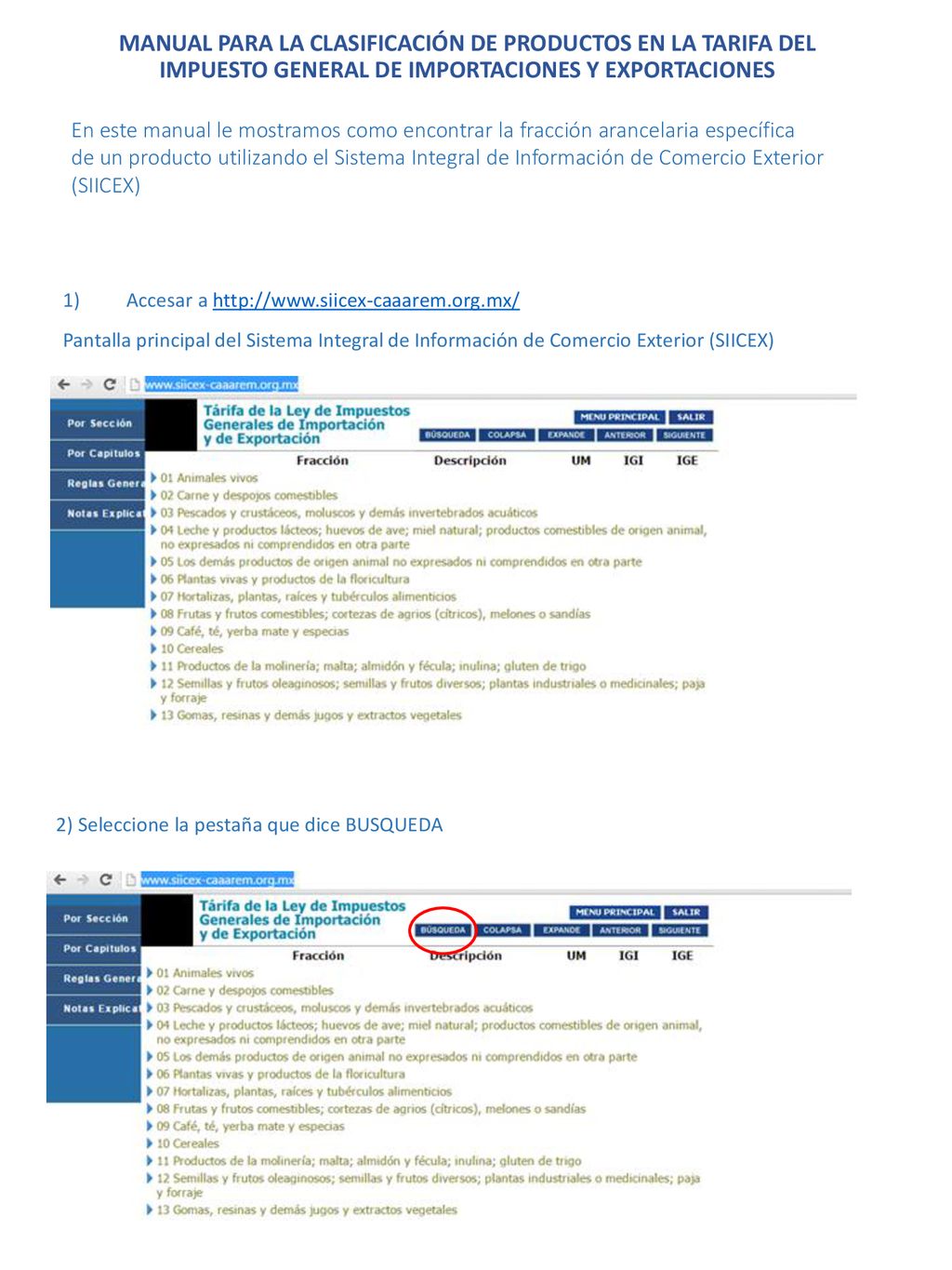 MANUAL PARA LA CLASIFICACIÓN DE PRODUCTOS EN LA TARIFA DEL IMPUESTO GENERAL DE IMPORTACIONES Y EXPORTACIONES