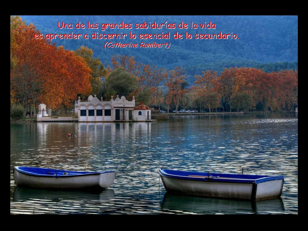 Una de las grandes sabidurías de la vida es aprender a discernir lo esencial de lo secundario.