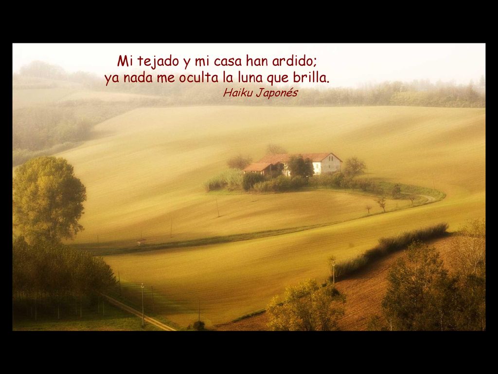 Mi tejado y mi casa han ardido; ya nada me oculta la luna que brilla.