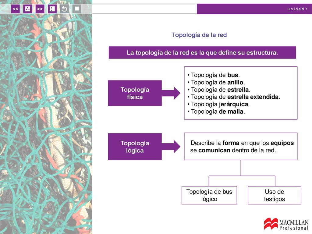 La topología de la red es la que define su estructura.