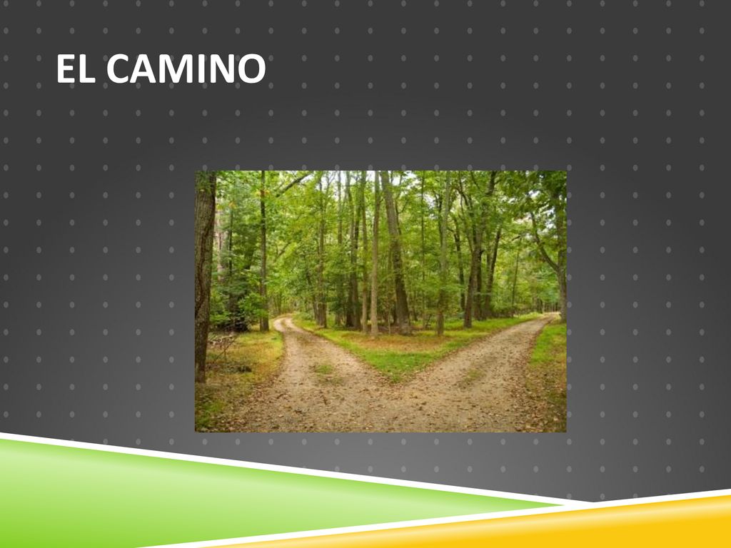 EL CAMINO El camino que escoges es por donde vas…..the road not taken