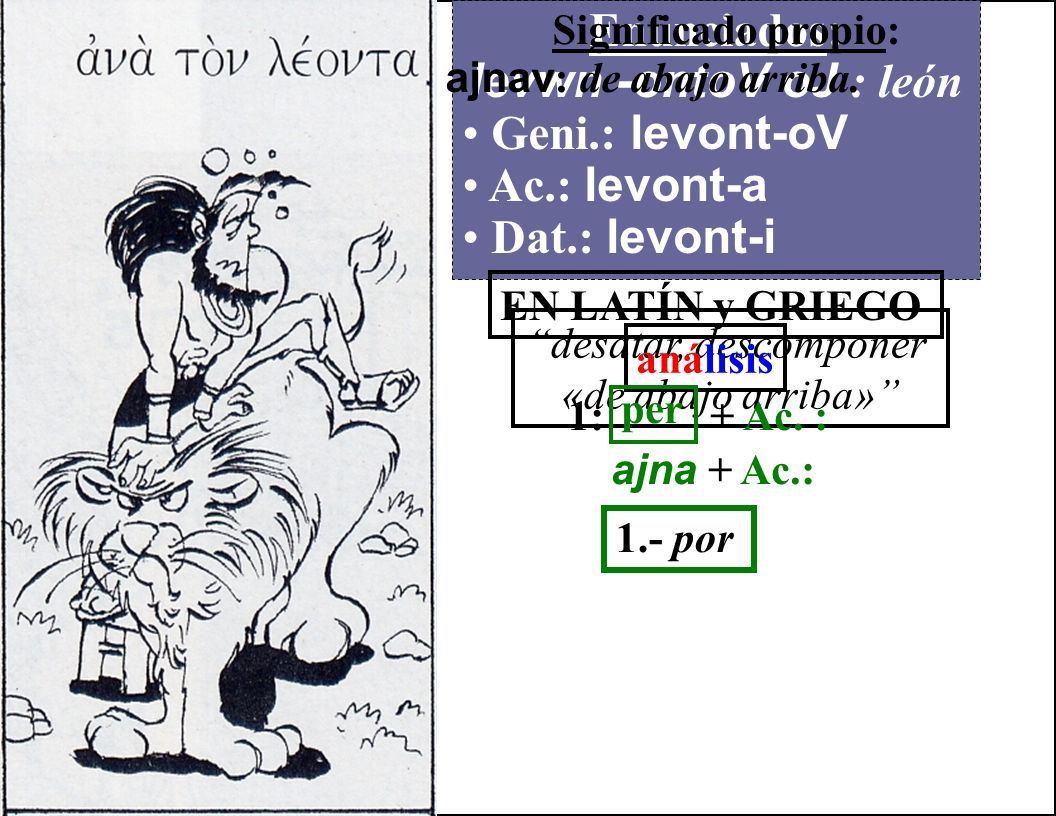 Enunciados: levwn -ontoV oJ : león Geni.: levont-oV Ac.: levont-a