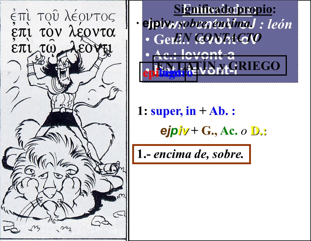 Enunciados: levwn -ontoV oJ : león Geni.: levont-oV Ac.: levont-a