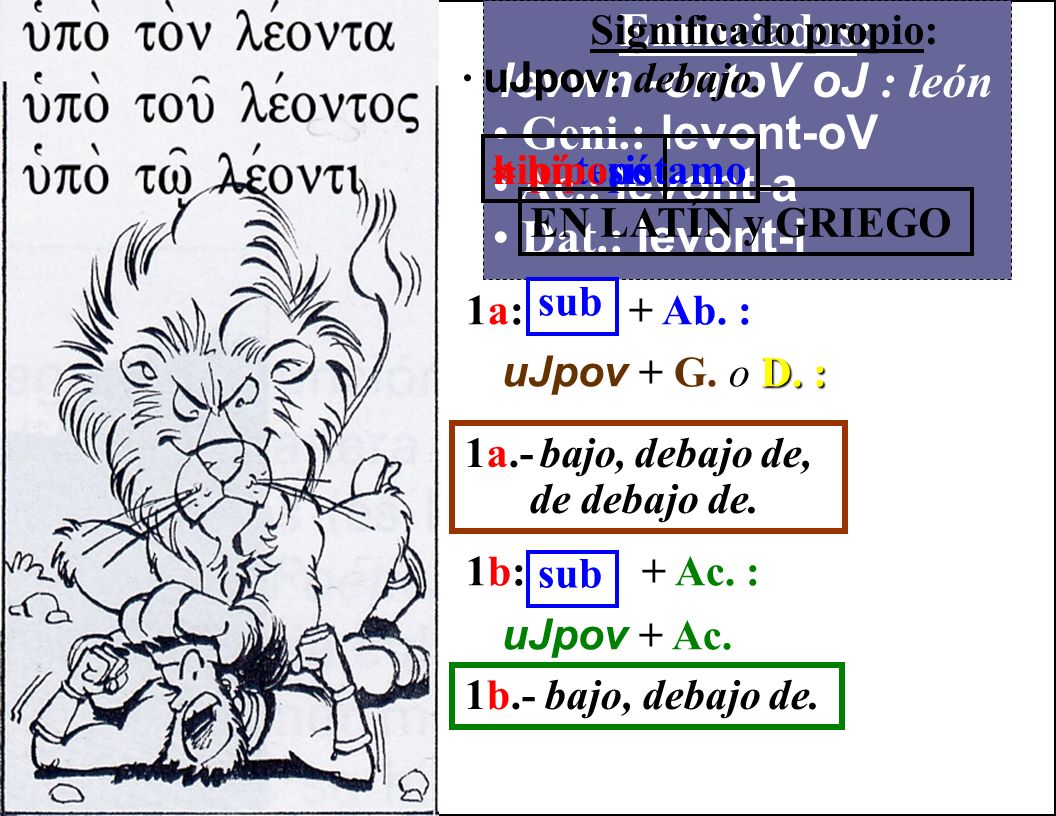 Enunciados: levwn -ontoV oJ : león Geni.: levont-oV Ac.: levont-a