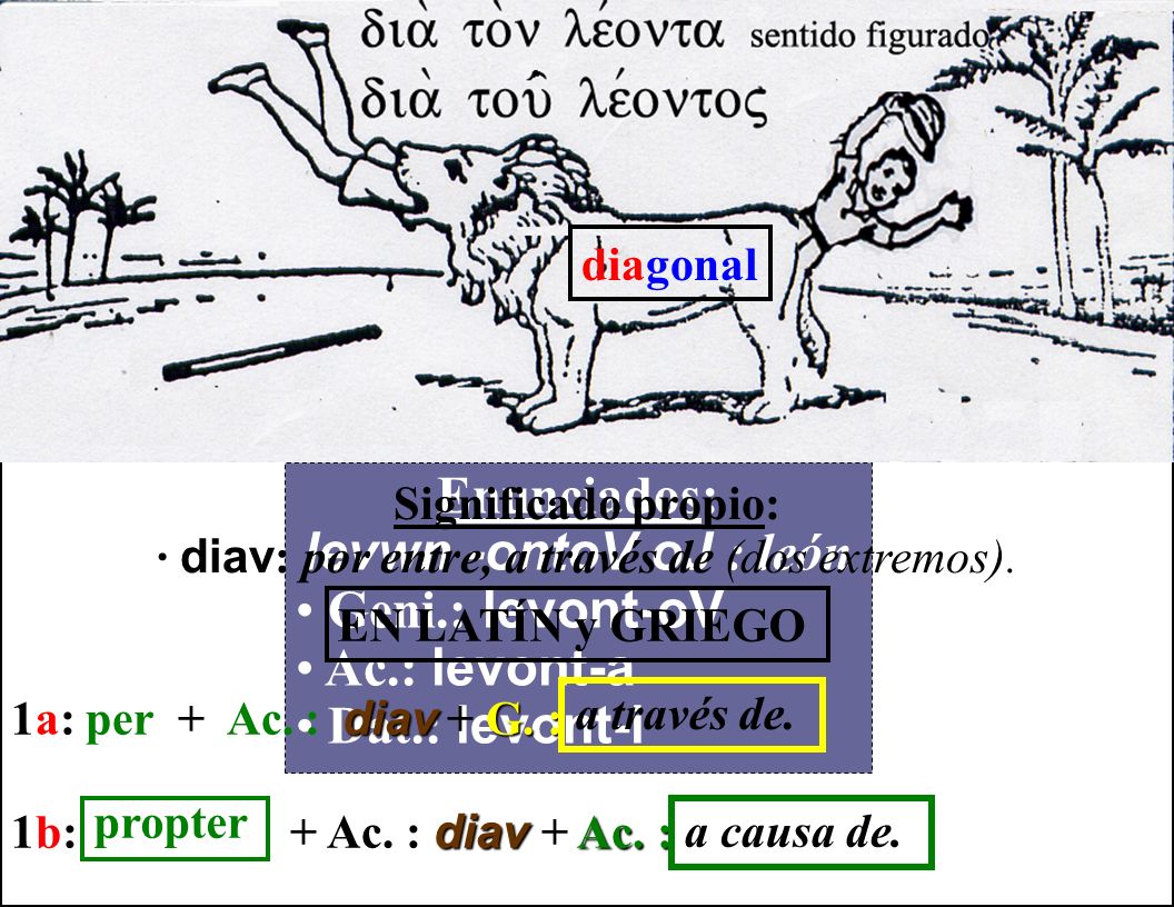 · diav: por entre, a través de (dos extremos).