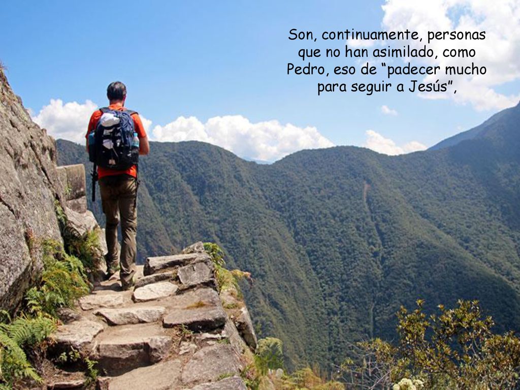 Son, continuamente, personas que no han asimilado, como Pedro, eso de padecer mucho para seguir a Jesús ,