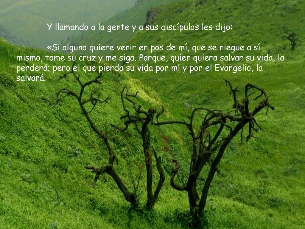Y llamando a la gente y a sus discípulos les dijo: