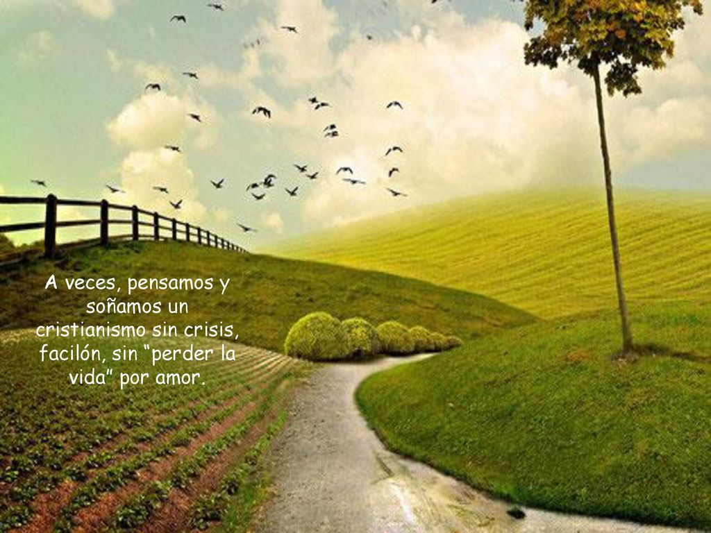 A veces, pensamos y soñamos un cristianismo sin crisis, facilón, sin perder la vida por amor.