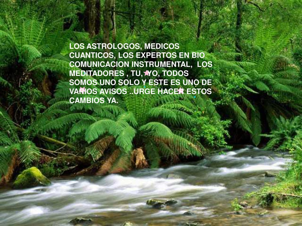 LOS ASTROLOGOS, MEDICOS CUANTICOS, LOS EXPERTOS EN BIO COMUNICACION INSTRUMENTAL, LOS MEDITADORES , TU, YO, TODOS SOMOS UNO SOLO Y ESTE ES UNO DE VARIOS AVISOS ..URGE HACER ESTOS CAMBIOS YA.